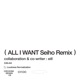 All I Want Seiho Remix Single