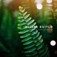 Zelene Svitlo Single