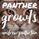 Panther Growls Single