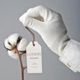 Cotton Single