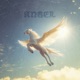 ANGEL Single
