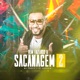 Vem Fazendo a Sacanagem 2 Single