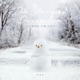 The Story of December Single