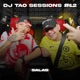 SALAS DJ TAO Turreo Sessions 12 Single