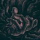 quatro partos EP