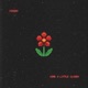 come a little closer Single