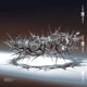Secundus Ep Single