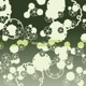 Water Dragon Single