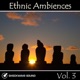 Ethnic Ambiences Vol 3