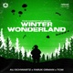 Winter Wonderland TCM Hardstyle Remix Single
