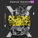 Disorder Single