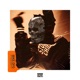 Detonated Free tyle Single