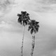 Winter in the Desert Single
