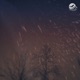 if stars could tell Single