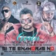 Si Te Enamoras No feat Franco el Gorila Alexis el Pitbull Single