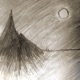 Full Moon feat Eishyaherd Single