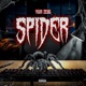 SPIDER Single