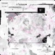 HYDRANGEA Single