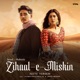 Zihaal e Miskin Flute Version Single