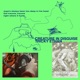 Creature in Disguise Single