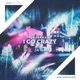 I Go Crazy Single