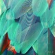 Fractals Vol 2