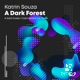 A Dark Forest Single