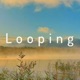 Looping Single