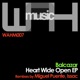 Heart Wide Open EP