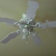 Ceiling Fan Single