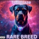 Rare Breed Single