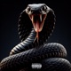 F k Em All feat Slauney Single