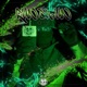 RUN GUN 17 Single