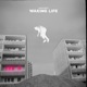 Waking Life