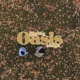 Oasis Single