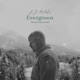 Evergreen Instrumentals