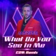 What Do You See In Me EDM Remix EDM Remix Single