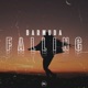 Falling Single
