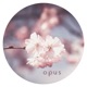 Various Artists V06 EP