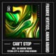 Can t Stop Futura City Ricky Ryan Rework Single