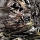 Mirage EP