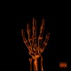 Palma Mi Mano Single