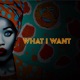 What I Want Sean Dimitrie House Mix feat Tonye Aganaba Single
