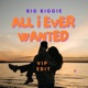 All I Ever Wanted VIP Edit Single