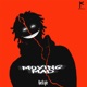 Moving Mad Single