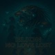 NO LOVE LOST Single