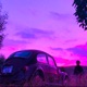 VIOLETA Single