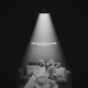 Metamorphosis Single