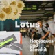 Lotus Single
