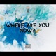 Where Are You Now Single